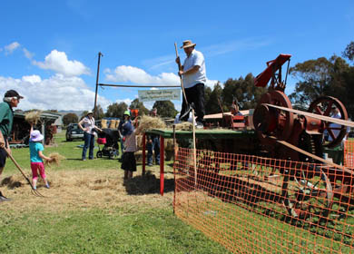 open days